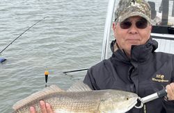 Redfish caught by angler at Port Mansfield