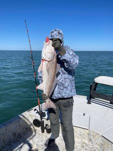 Redfish caught in TX