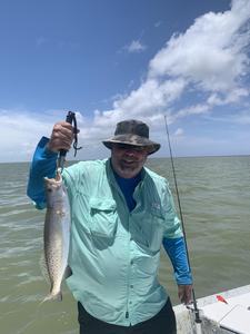Huge Spotted Weakfish reeled in from the deep!