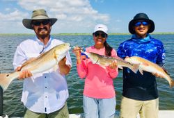 Three redfish caught on a fishing trip in TX
