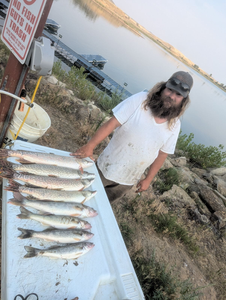 3 northern pike caught fishing in NE