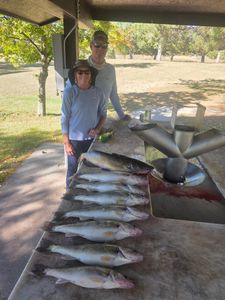 5 blue catfish caught in Valentine
