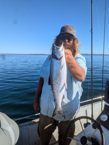 Chinook salmon, a large 28-inch fish, caught by a fisherman in NE