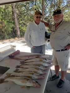 Two Great Barracuda, 26-inch big fish, NE location