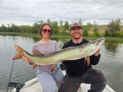 A muskellunge, a large freshwater fish, caught by two people in the NE region