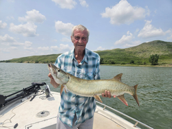 Muskellunge fish caught by angler in Valentine