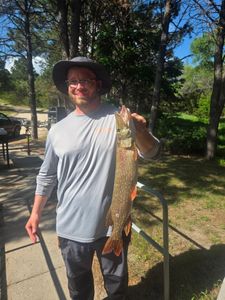 A Northern Pike, a large freshwater fish, caught by a person fishing in Valentine