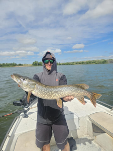 Snapshot of a huge northern pike caught while fishing in Valentine, Nebraska.