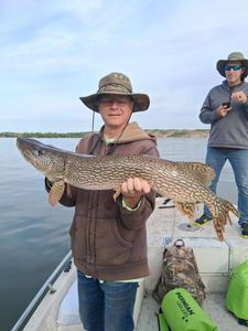 Northern pike caught while fishing in Valentine NE displayed on boat