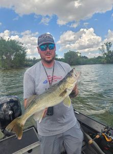 Pike-Perch caught by angler in NE