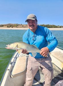 Pike-Perch caught while fishing in Valentine