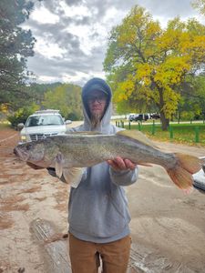 Pike-Perch caught while fishing in Valentine