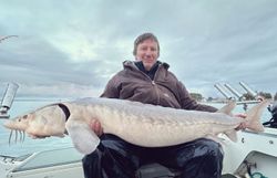 An angler with a Lake Sturgeon catch in Algonac