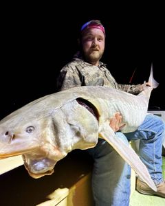 Angler fishing in MI