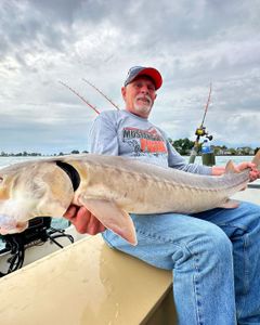 A single fisherman in Algonac with a 37-inch catch