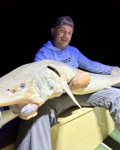 One fisherman catching a 21-inch fish while fishing in MI