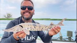 Angler fishing in MI