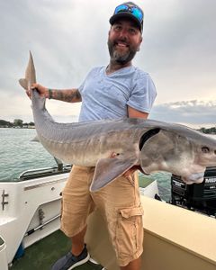 A person fishing in the state of Michigan