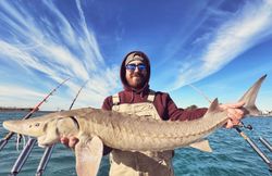 Angler with fishing rod in Algonac