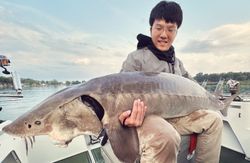 One lake sturgeon caught fishing in MI
