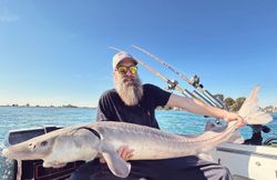 Catching a majestic lake sturgeon in MI