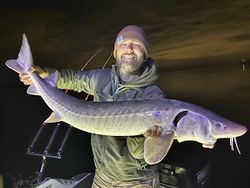 Angler holding a 39-inch fish in MI