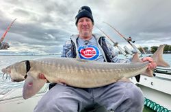 Angler with white sturgeon in Michigan