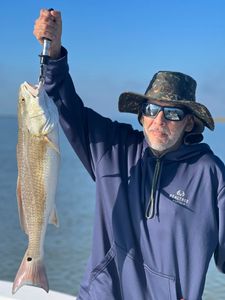 Rockport's Redfish Riches Revealed