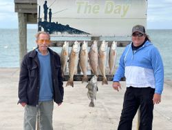 Rockport's Redfish Bonanza