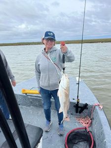 Rockport's Redfish Bounty Awaits