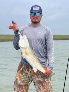 Redfish Excitement in Rockport