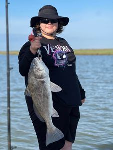 Premier Black Drum Fishing In Rockport, TX