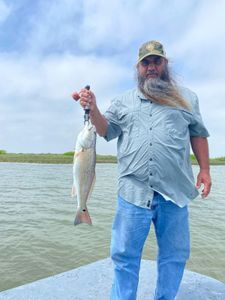 Rockport Redfish: A Captivating Catch