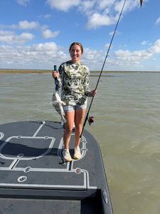 Black drum caught while fishing on boat in Rockport TX waters