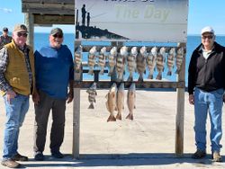 Redfish, Black Drum, and Redfish caught during fishing trip in TX