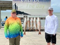 4 redfish caught in Rockport