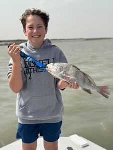 A person fishing for a black drum in Rockport