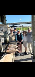 Fresh caught fish displayed on cleaning table at fishing dock in Rockport TX