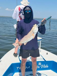 Redfish caught while fishing in Rockport TX waters from boat