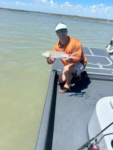 Redfish catch displayed on fishing boat in Rockport TX waters