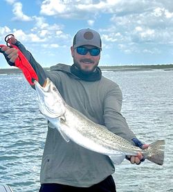 Photograph of a spotted weakfish caught while fishing in Rockport
