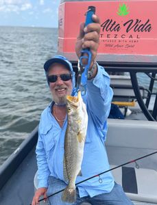 Spotted Weakfish caught while fishing in Rockport