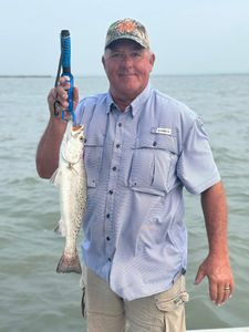 Spotted Weakfish caught fishing in Rockport