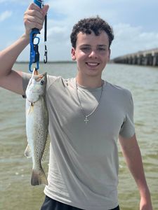 Spotted Weakfish caught in TX