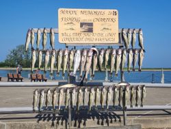 Two anglers fishing in OH