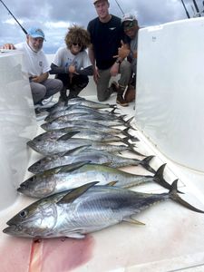 12 hour trip bounty