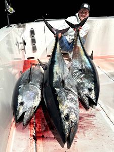 Kyle with three trophy bluefin tuna caught at 3am