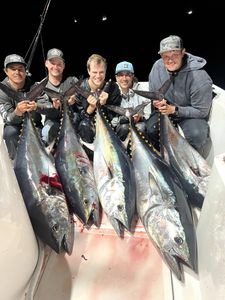night time bluefin action on two night trip