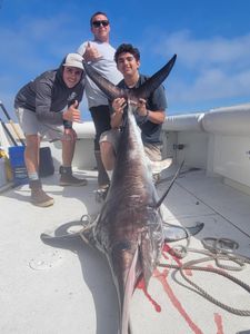 Fall sword fishing at its finest 