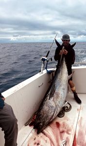 Nate posing with a monster Bluefin 